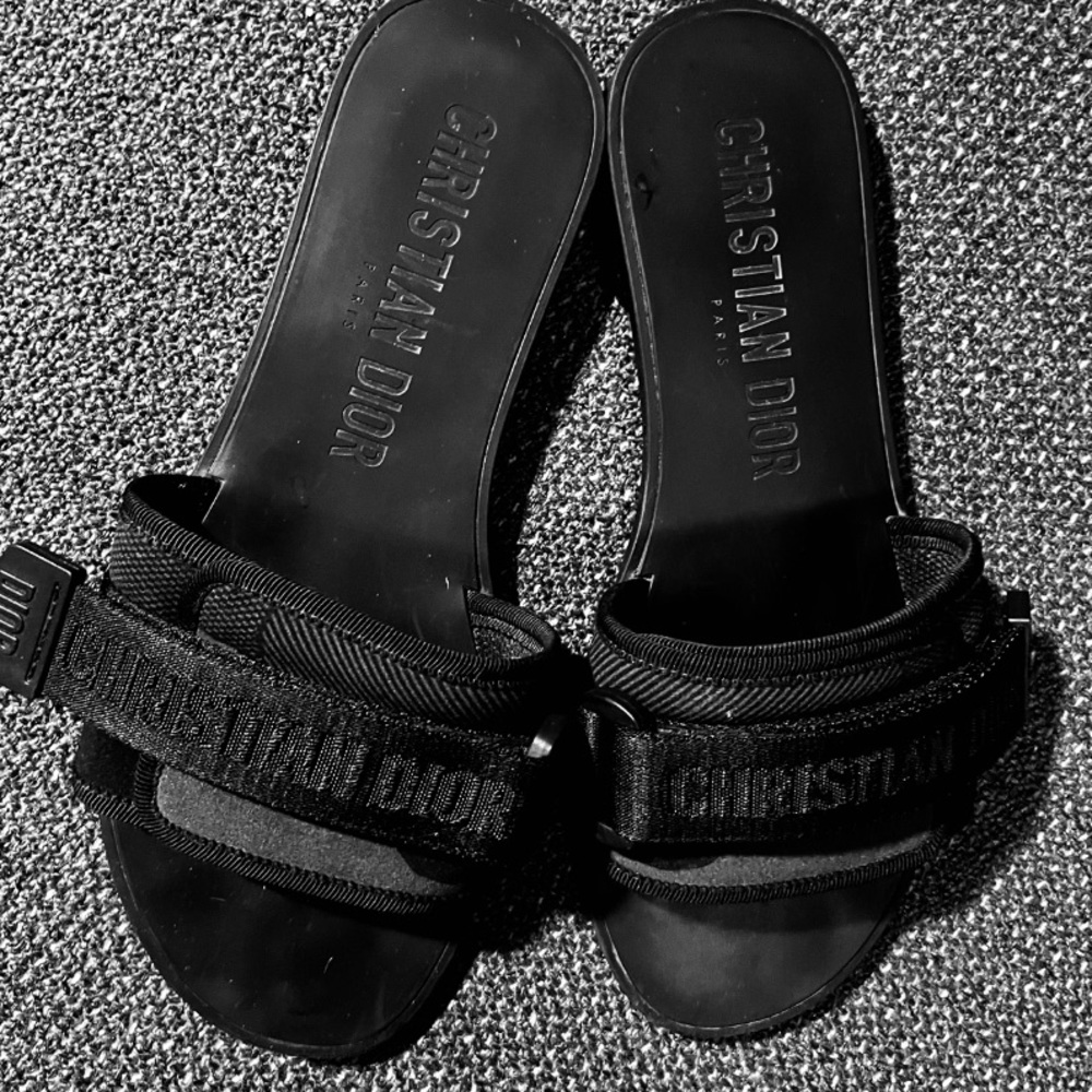 Christian Dior  Dio(R)evolution Slides